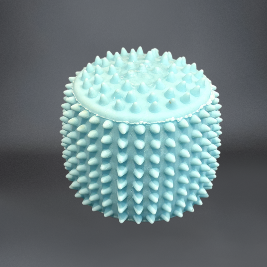 Spiky Squishy Shapes-NeuroCandy®