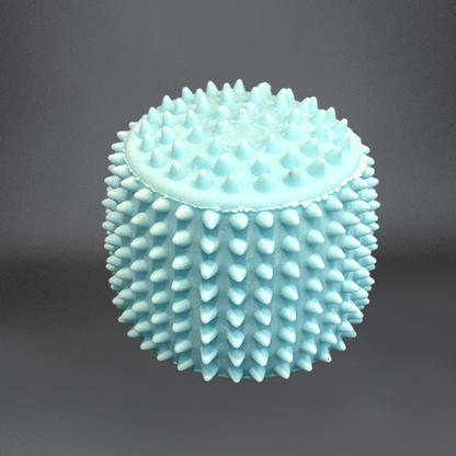 Spiky Squishy Shapes